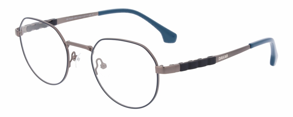 DAKAR RX* 71003 COL 243