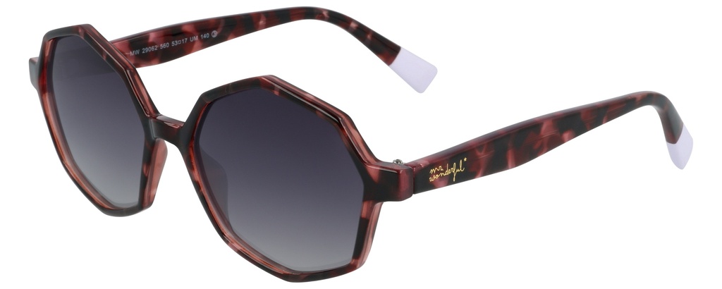 MR. WONDERFUL SUN  29062 COL 560