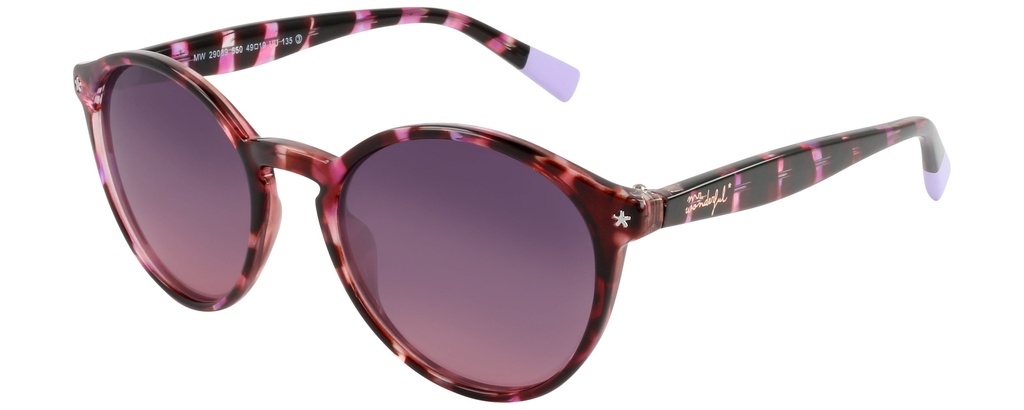 MR. WONDERFUL SUN  29089 COL 550