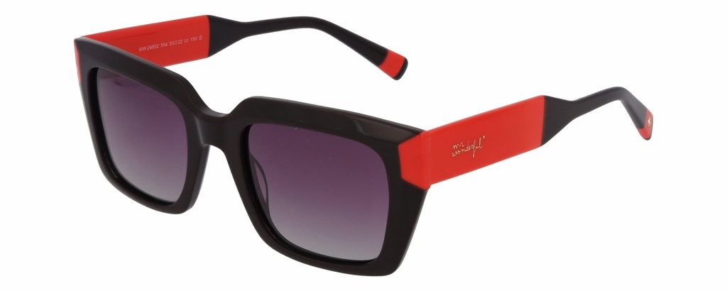 MR. WONDERFUL SUN  29802 COL 554