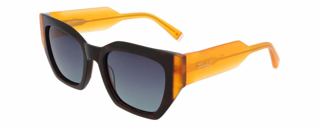 MR. WONDERFUL SUN  29803 COL 594