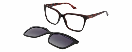 Clip on A GUY LAROCHE 81063 COL 570