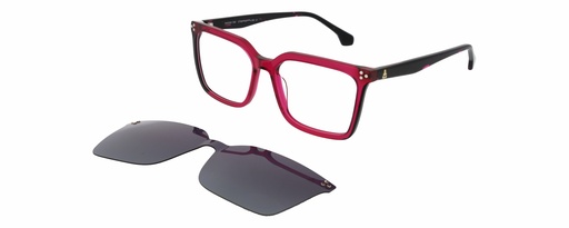 Clip on DAKAR 11032 COL 555