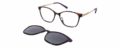 Clip on 01 DIANE DE CARLO 59905 COL 555