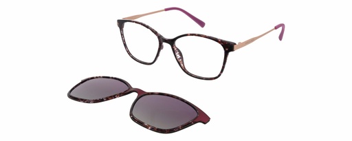 Clip on 01 DIANE DE CARLO 59905 COL 565