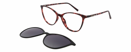 Clip on 01 DIANE DE CARLO 59911 COL 570